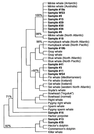 Screenshot 2018-10-29 at 17.20.43