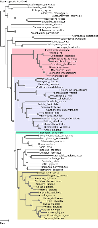 Fig2_802761433193085.89_entropy_2.44_1.83_loci_0_to_49