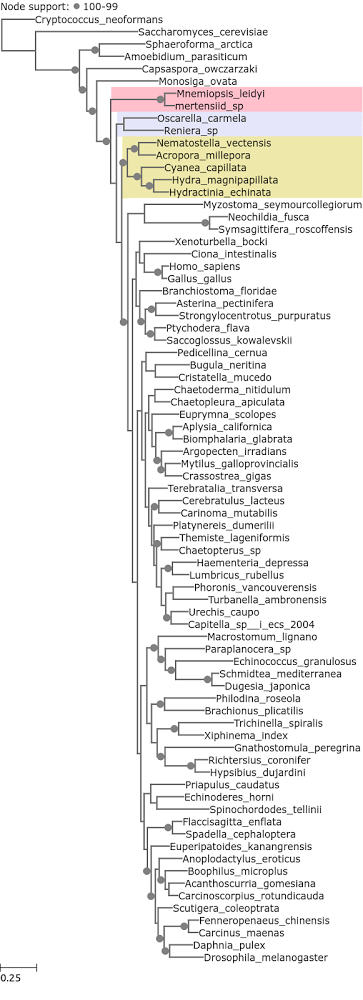 Fig4_752761434054805.63_no_rp_low_entropy_concat_ent_0.99_0.15